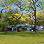 Toronto Island Park - Toronto, Ontario