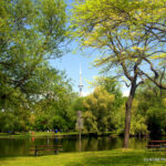 Toronto Island Park - Toronto, Ontario
