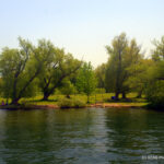 Toronto Island Park - Toronto, Ontario