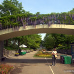 Royal Botanical Gardens - Burlington, Ontario