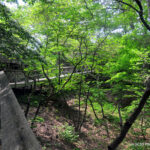 Royal Botanical Gardens - Burlington, Ontario