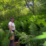 Royal Botanical Gardens - Burlington, Ontario