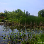 Royal Botanical Gardens - Burlington, Ontario