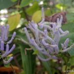 Royal Botanical Gardens - Burlington, Ontario