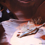 Antelope Canyon - Page, AZ