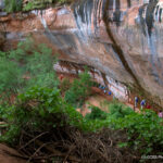 Zion Canyon, UT