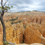 Bryce Canyon, UT