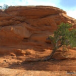 Canyonlands National Park - Moab, UT