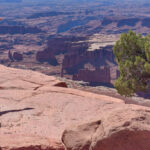 05-18-Z20220624_100123