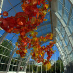 Chihuly Glass Gardens
