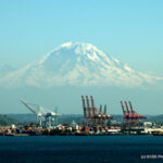 This is NOT photoshopped